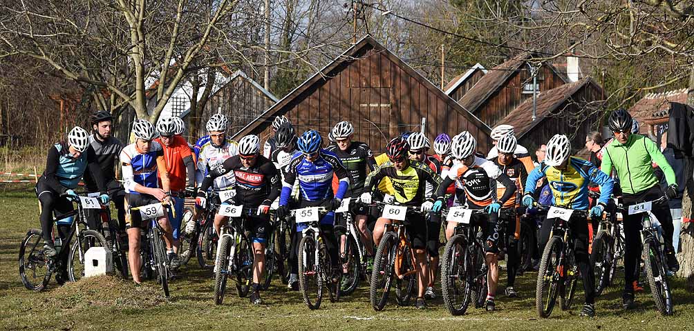 die Bildnummer ist 201602130006