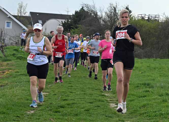 Weinberg Crosslauf