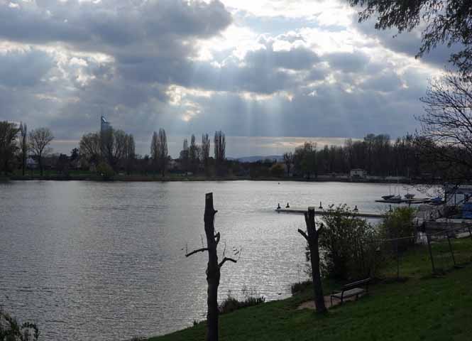Alte Donau