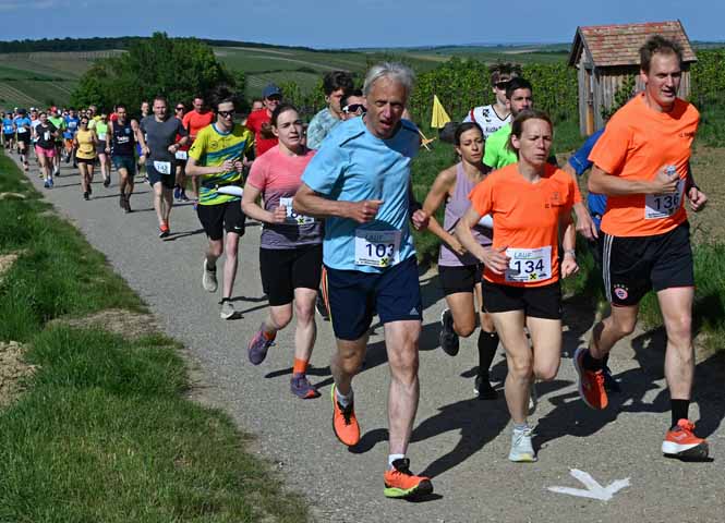 Falkensteiner Berggerichtslauf