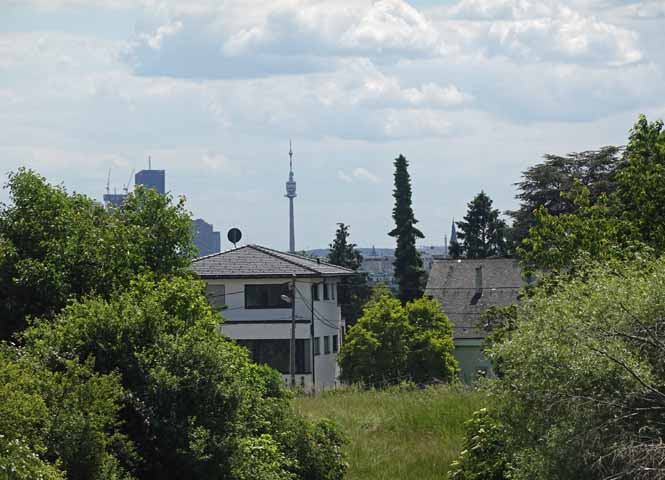 Blick vom Bisamberg