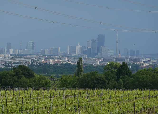 Blick vom Bisamberg