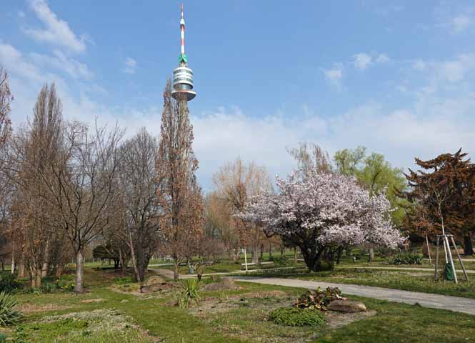 Donaupark