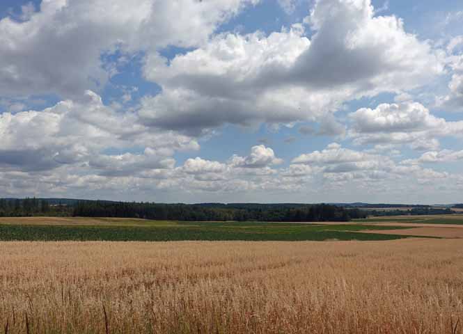 Foto des Tages