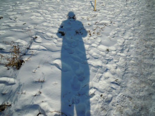 Foto vom 27. Jnner 2010 - Schatten im Schnee (Tillmanngasse)