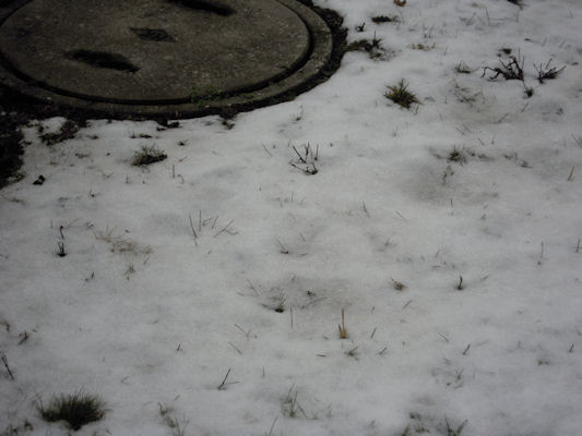 Foto vom 18. Februar 2010 - noch immer Schnee