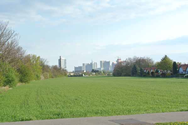 Foto vom 17. April 2012 - Feld an der Leopoldauer Straße