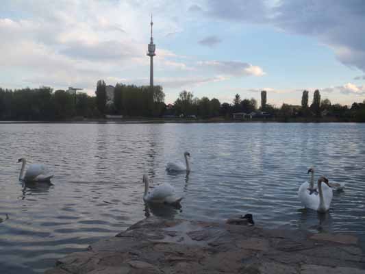 Foto vom 19. April 2012 - Alte Donau