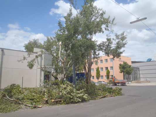 Foto vom 9. Juli 2012 - Sturmschden in der Tillmanngasse