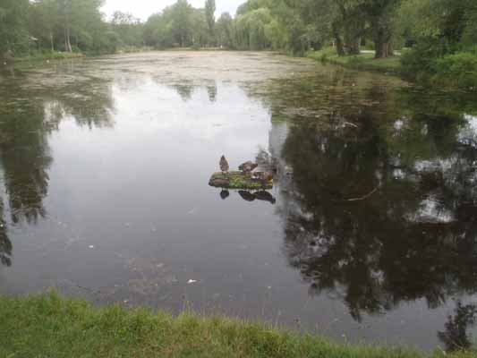 Foto vom 10. Juli 2012 - Wasserpark