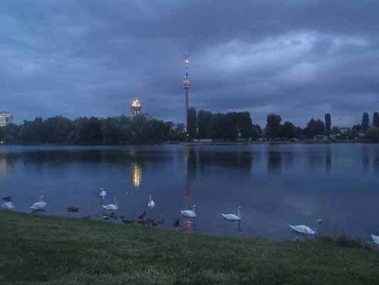 Foto vom 13. September 2012 - Alte Donau
