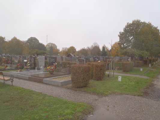 Foto vom 1. November 2012 - Jedlersdorfer Friedhof