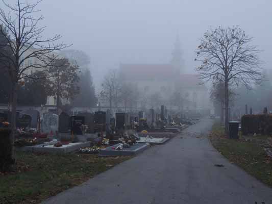 Foto vom 20. November 2012 - Leopoldauer Friedhof