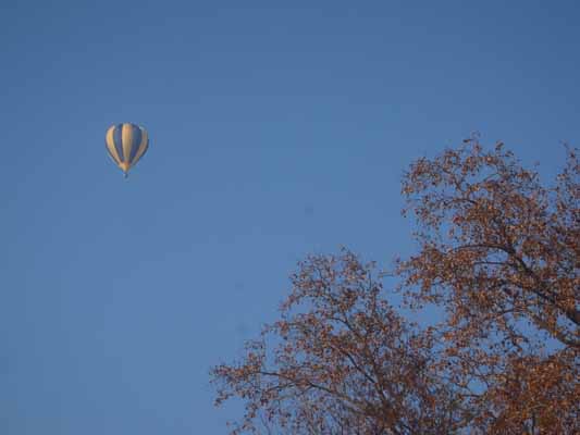 Foto vom 30. Dezember 2012 - Heißluftballon