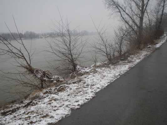 Foto vom 10. Februar 2013 - An der Donau