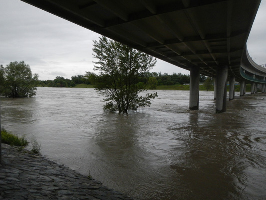 Foto vom 3.Juni 2013 - Hochwasser