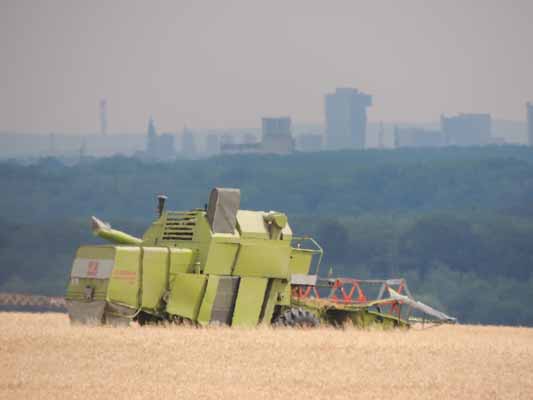 Foto vom 13.Juli 2013 - Mhdrescher