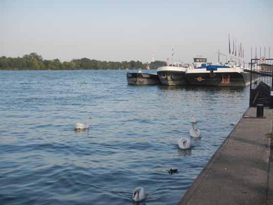 Foto vom 7.August 2013 - Donau