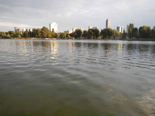 Foto vom 14.August 2013 - Alte Donau