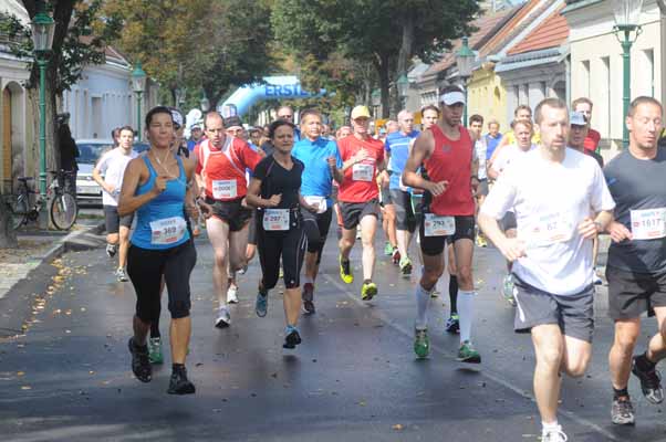 Foto vom 1.September 2013 - Stammersdorfer Winzerlauf
