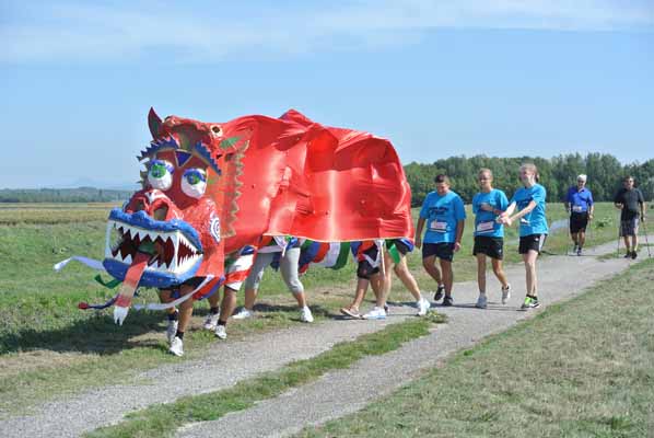 Foto vom 8.September 2013 - Roter Nasenlauf in Engelhartstetten