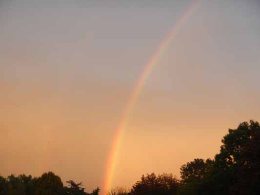 Foto vom 11.Oktober 2013 - Regenbogen