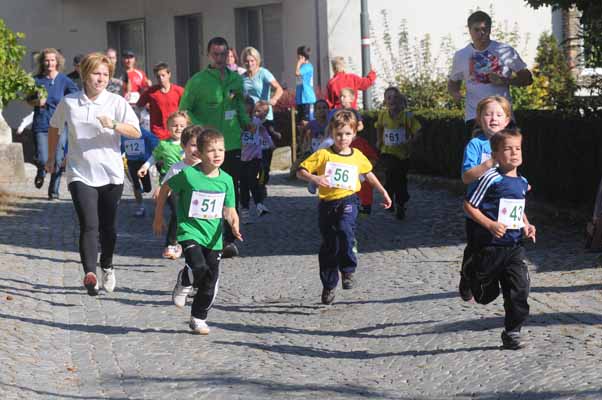 Foto vom 12.Oktober 2013 - Poysdorfer Winzerlauf