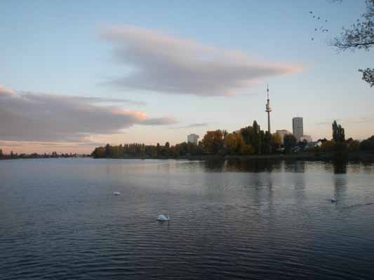 Foto vom 17.Oktober 2013 - Alte Donau