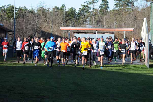 Foto vom 30.November 2013 - Crosslauf Deutsch-Wagram