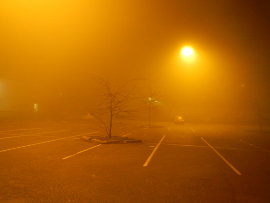 Foto vom 3.Jänner 2014 - Nebel