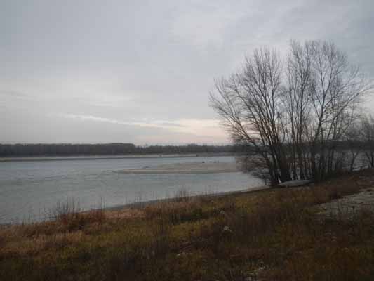 Foto vom 5.J�nner 2014 - Donau bei Greifenstein