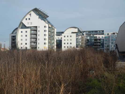 Foto vom 11.J�nner 2014 - H�user in der Attemsgasse