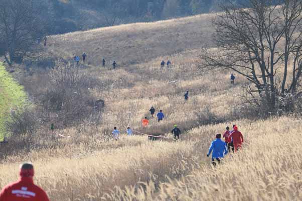 Foto vom 12.J�nner 2014 - Crosslauf Mistelbach