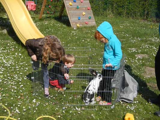 Foto vom 29.M�rz 2014 - Zoe, Fabian und Amy