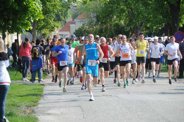 Foto vom 1.Mai 2014 - Gro Enzersdorfer Stadtlerlauf