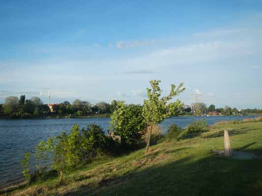 Foto vom 14.Mai 2014 - Alte Donau