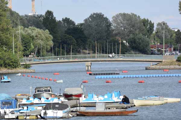 Foto vom 20.Juni 2014 - Alte Donau