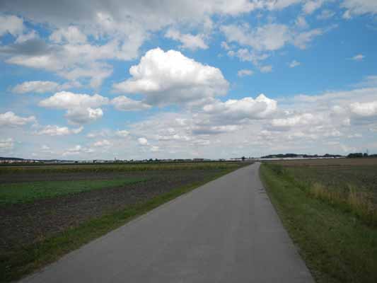 Foto vom 15.August 2014 - Radweg bei Donnerskirchen