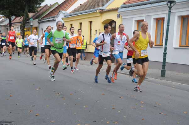 Foto vom 31.August 2014 - Stammersdorfer Winzerlauf