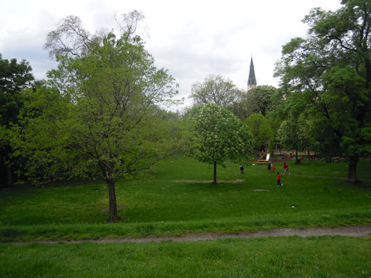 Foto vom 7. Mai 2010 - Freilgrathplatz (Gruabn)