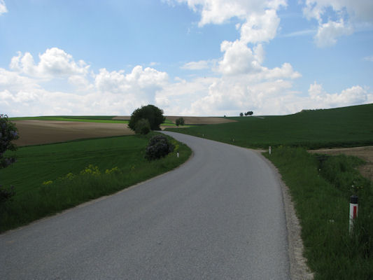 Foto vom 9. Mai 2010 - auf der Strae von Gromugl nach Gllersdorf