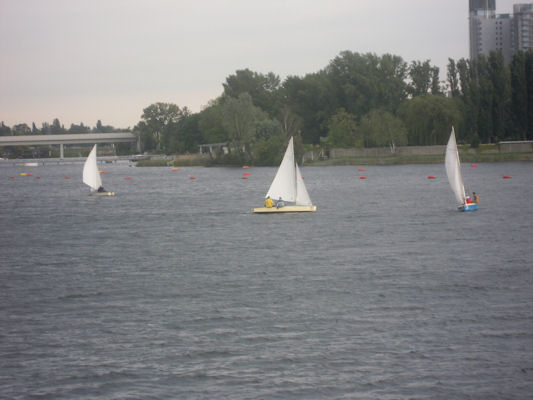 Foto vom 20. Mai 2010 - Segelboote auf der Alten Donau