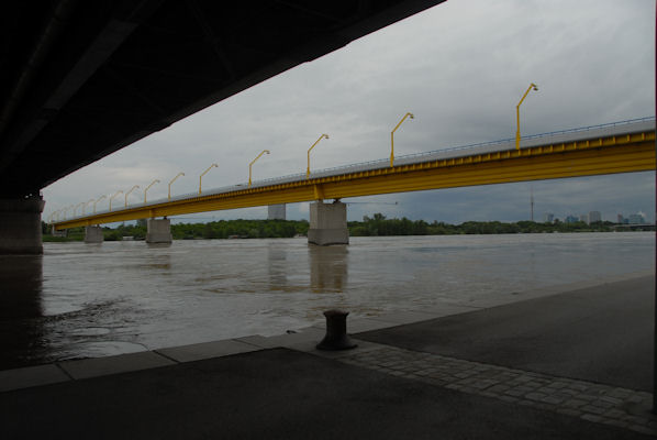 Foto vom 3. Juni 2010 - Donauhochwasser