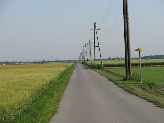 Foto vom 9. Juni 2010 - Weg zwischen Aderklaa und Essling