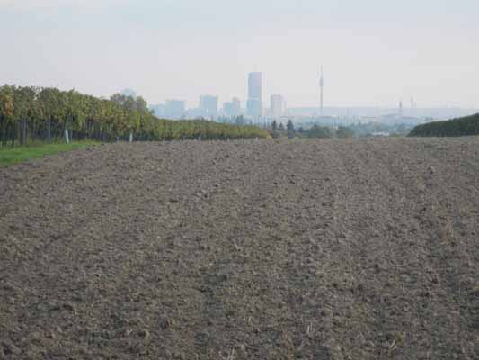 Foto vom 3.Oktober 2014 - Blick vom Bisamberg