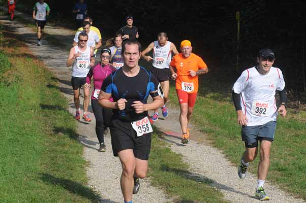 Foto vom 5.Oktober 2014 - Marchfelder Halbmarathon