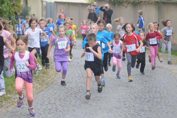 Foto vom 11.Oktober 2014 - Poysdorfer Winzerlauf