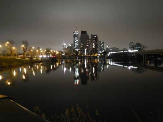 Foto vom 11.Februar 2015 - Alte Donau