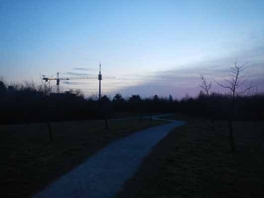 Foto vom 9.Mrz 2015 - Park an der oberen Alten Donau