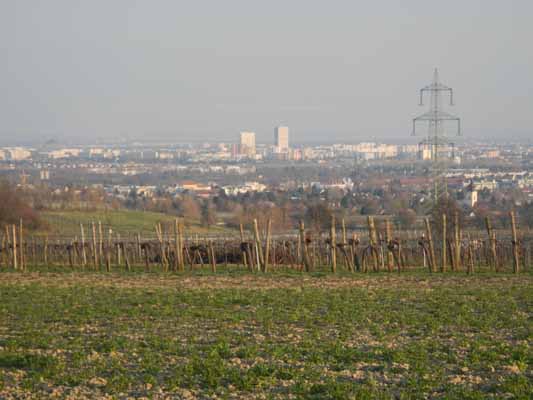 Foto vom 10.April 2015 - Blick vom Bisamberg